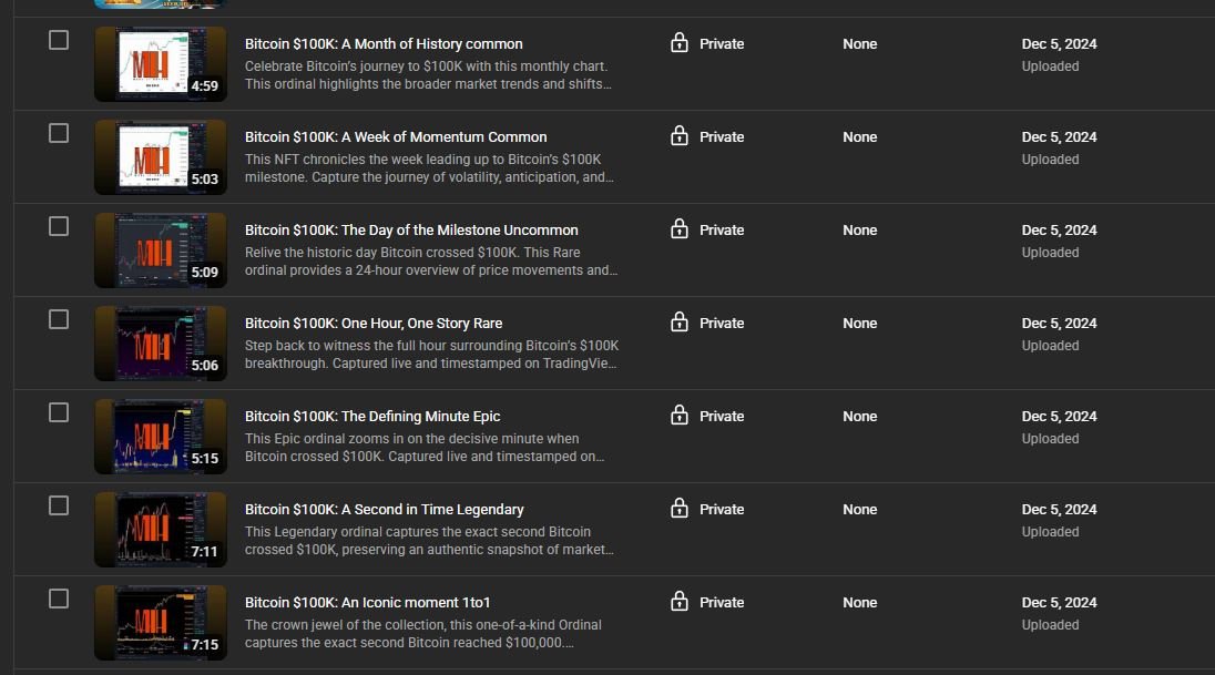 Private YouTube recordings uploaded December 2024